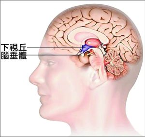 1 e1790663428606