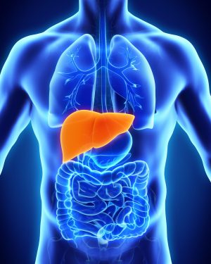 肝臟 2 LiverDisease share scaled e1790580780245