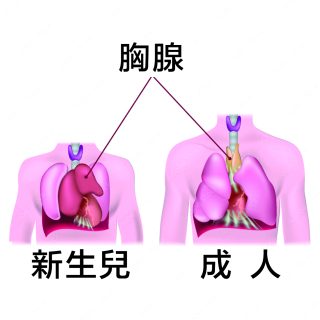 0000 e1791608781827