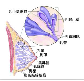 12 e1791960967479