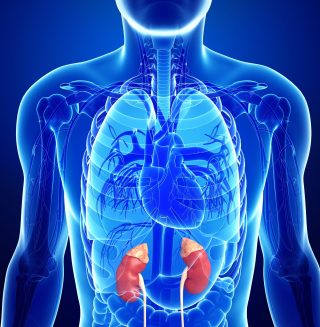 腎上腺 1 AdrenalGlandDisorders share scaled e1791440157218