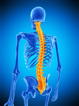 Whole Spine Adobe scaled 1 e1792829689253