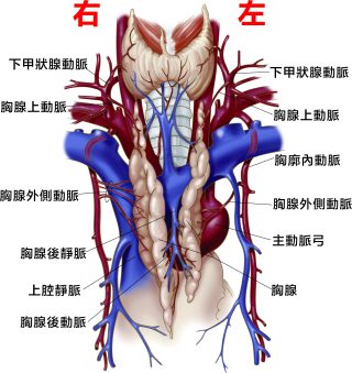 cu ce84 e1791608764166
