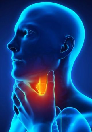 喉嚨 1 throat ov img 1 e1791777781676